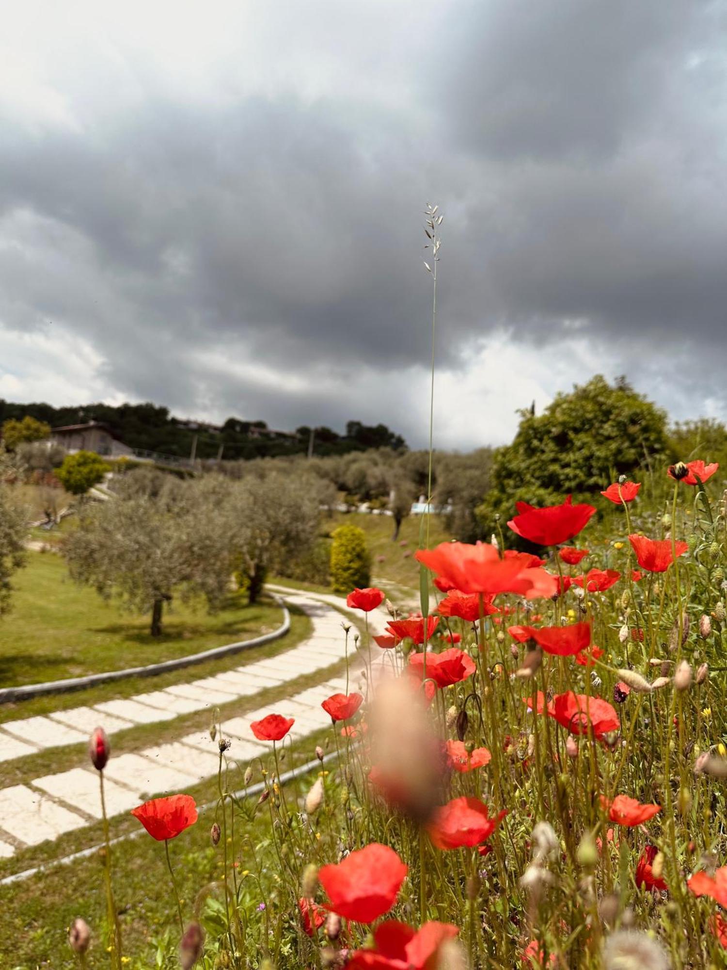 Holiday Home Sovenigo Пуэньяго Экстерьер фото